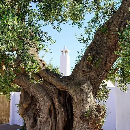 Apartment Masseria Pezze Galere-la Casa Del Fico Con Piscina Idromassaggio Privata *