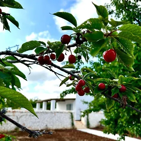 Apartment Masseria Pezze Galere-la Casa Del Fico Con Piscina Idromassaggio Privata